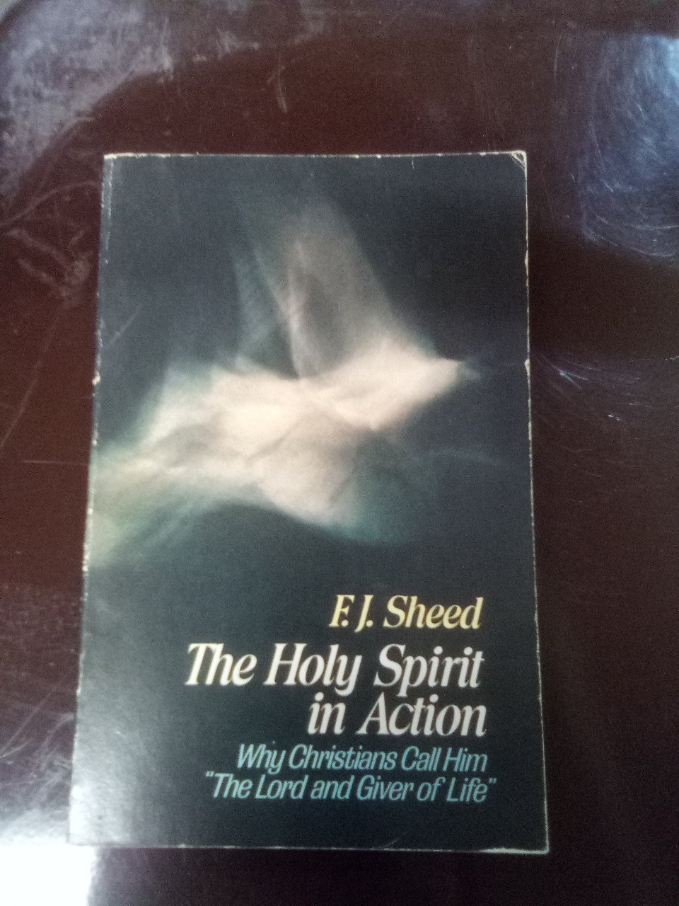 THE HOLY SPIRIT IN ACTION BY F.J. SHEED 