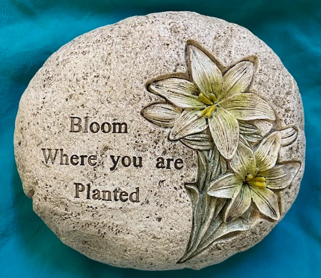 Garden Stone or Pet Memorial Stone with Inspirational Message - Bloom Where you are Planted Lightweight Resin