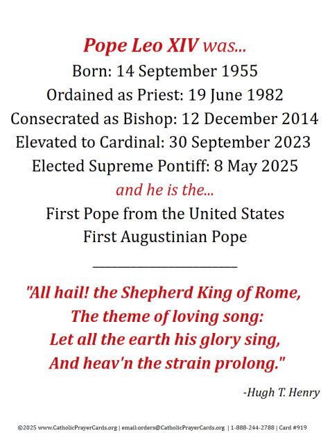  POPE LEO XIV HOLY CARD