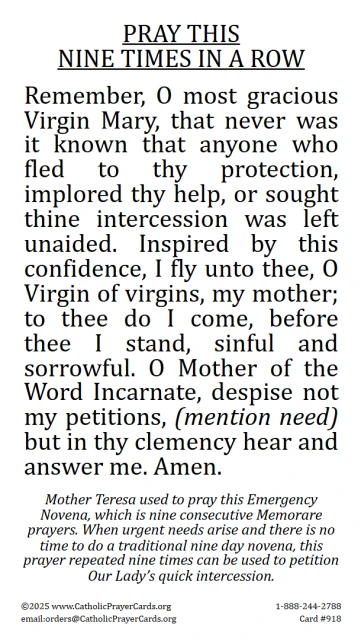 Emergency Novena to Our Lady
