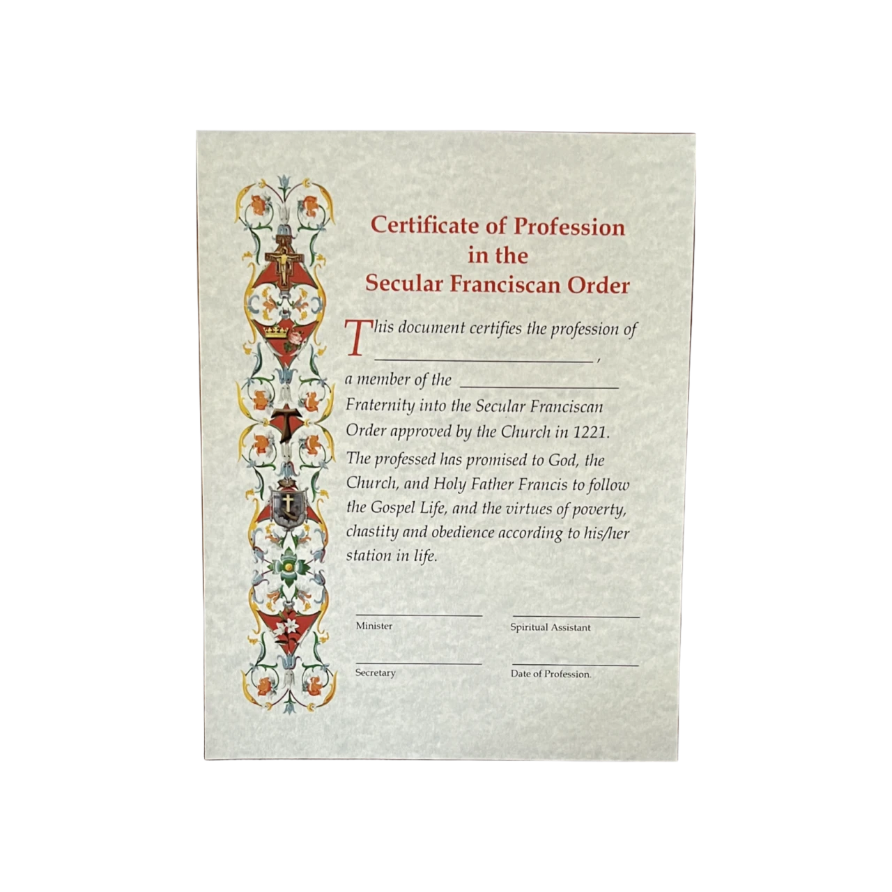 Profession Certificate (light blue)