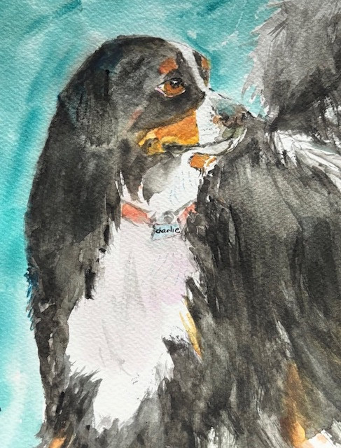 Custom Pet Protrait
