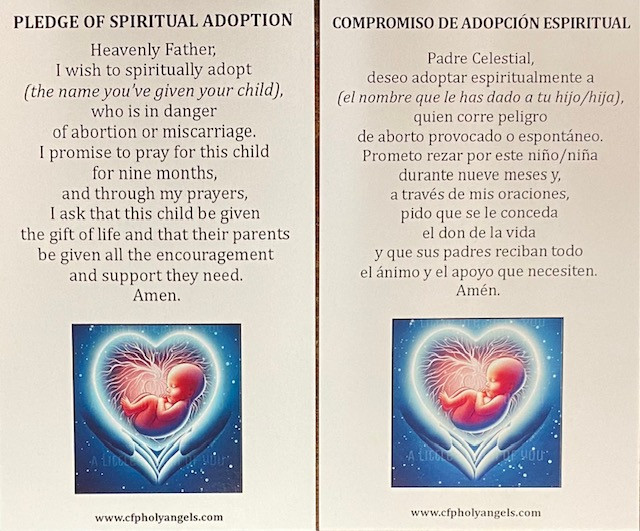 Spiritual Adoption Card for Unborn Baby in Danger of Abortion with Instructions