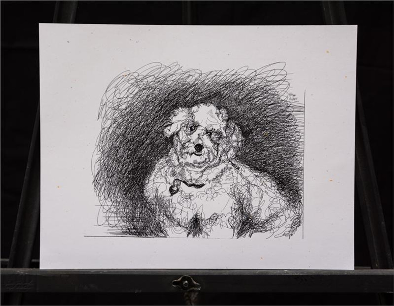 fluffy dog sketch