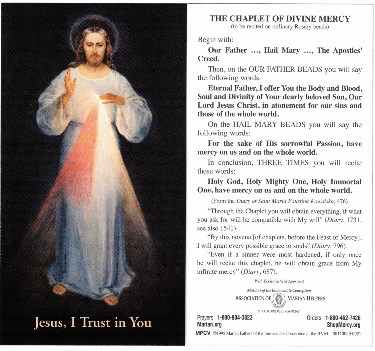 Chaplet of Divine Mercy Prayer card in English Vilnius Image Large Size