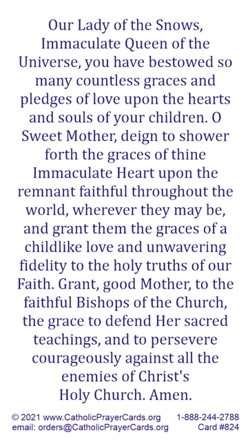 Our Lady of the Snows Prayer Card