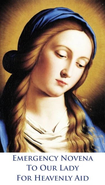 Emergency Novena to Our Lady