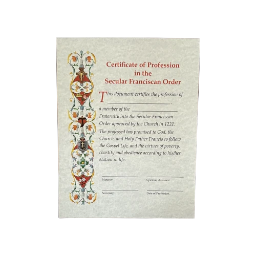 Profession Certificate (light blue)