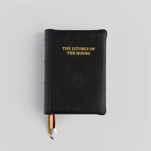 Liturgy of the Hours Natural Grain LARGE PRINT Single volume or set