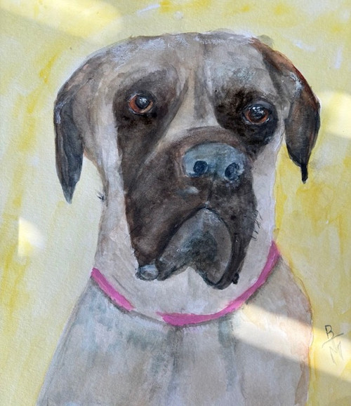 Custom Pet Portrait