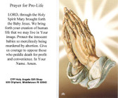 Prayer for Pro Life Card