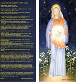 Litany of the Unborn Christ Child Prayer Card