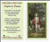 Laminated Prayer Card Surprise in Heaven