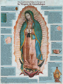 Spanish Our Lady of Guadalupe Explained Poster