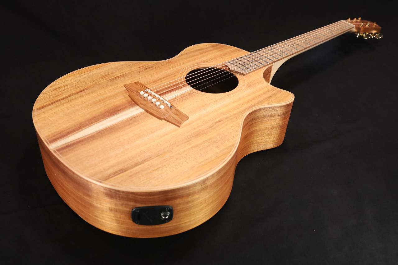 Cole Clark CCAN2EC-BLBL AN Grand Auditorium, Australian Blackwood