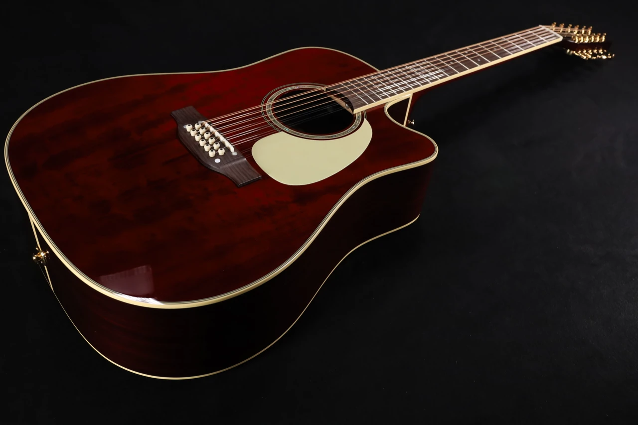 Takamine JJ325SRC-12 John Jorgenson Signature 12-String Acoustic