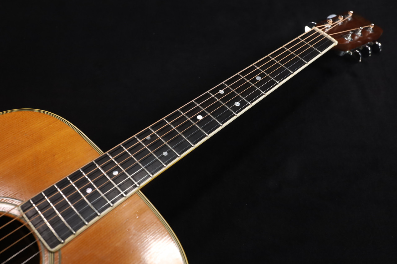 Martin D-35 1968 Brazilian Rosewood Back and Sides with Hard Case