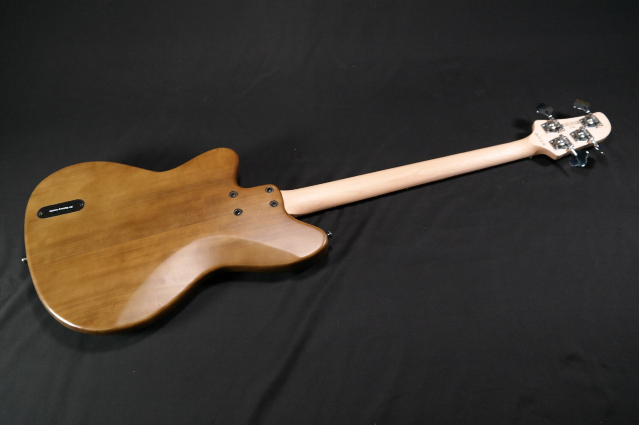 Ibanez tm100 sales