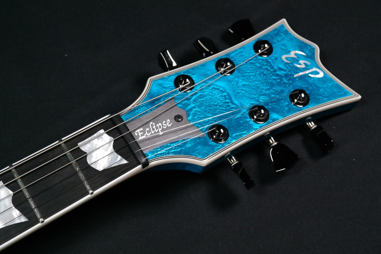 ギター ESP custom ESP ARTIST CUSTOM GUITARS---YOSHIROW---