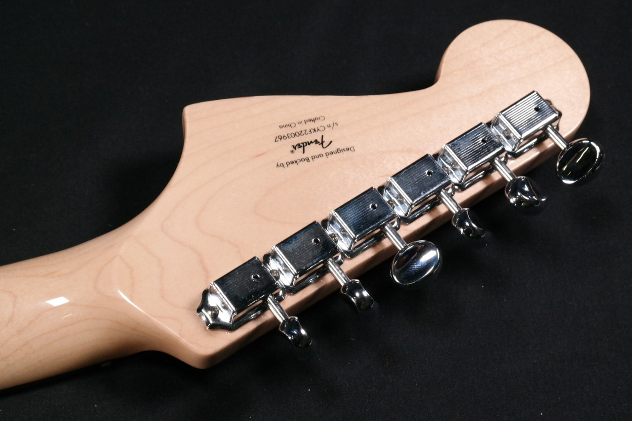 Squier Paranormal Cyclone - Laurel Fingerboard - Tortoiseshell
