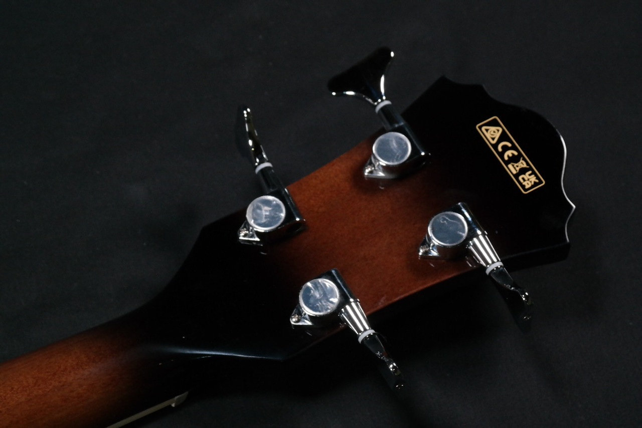 Ibanez AEB10E DVS Acoustic Bass Dark Violin Sunburst 040 - Liberty