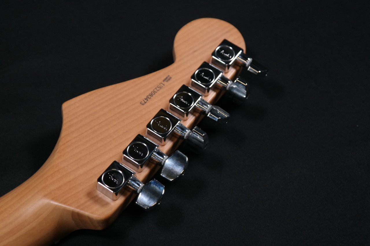 Fender American Professional II Stratocaster, Roasted Maple Fender American Professional II Stratocaster, Roasted Maple