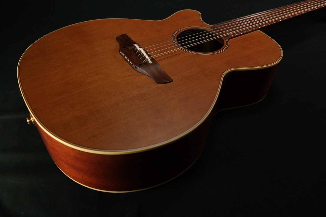Takamine T-406 ジャンク s-l400.jpg