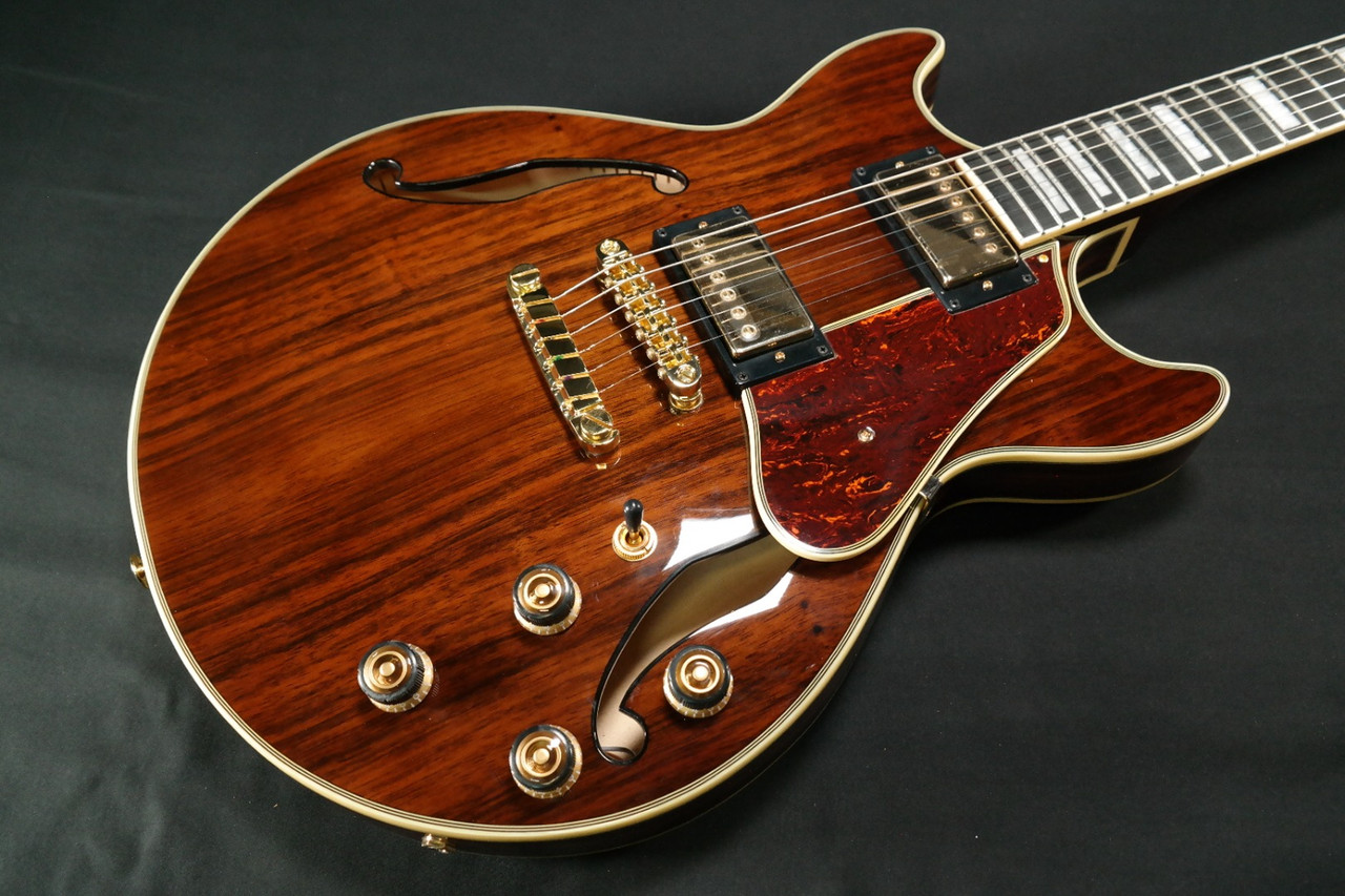 Ibanez Artcore Expressionist AM93ME Semi-Hollow Electric Guitar