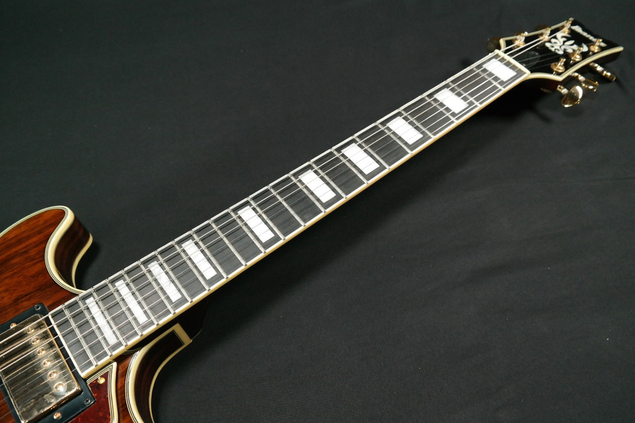 Ibanez AM93MENT AM Artcore Expressionist 6str Electric Guitar