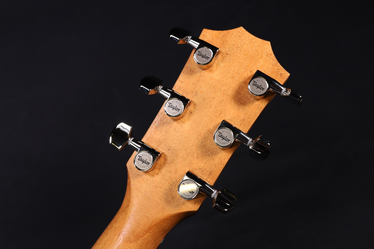 Taylor 214ce Plus Special Edition Ziricote Back and Sides 308