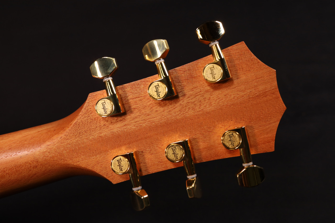 Taylor 50th Anniversary GS Mini-e Rosewood LTD Natural 071