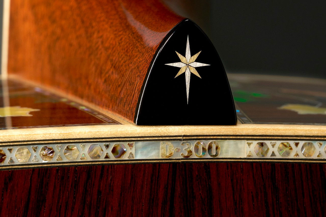 Martin D-300 Guitar Full View