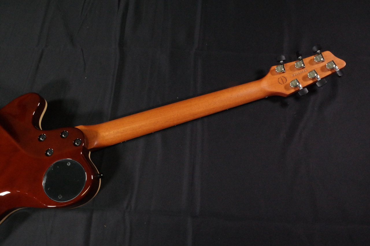 Godin xtSA 042067F Limited Edition Rosewood with Bag - Used - 175