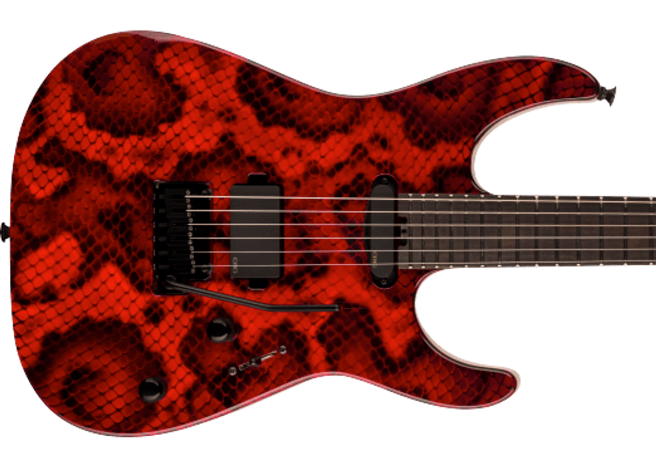 Charvel Custom Shop USA Special Edition DK24 Custom Hand-Painted