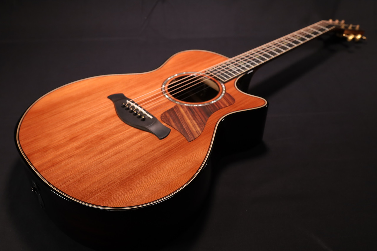Taylor Builder's Edition 812ce 50th Anniversary LTD Rosewood Back