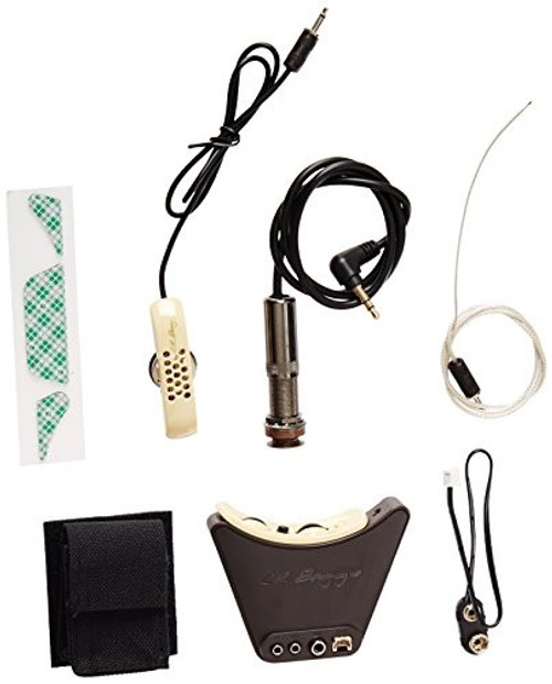 LR Baggs Anthem Internal Tru Mic system with Element pickup and soundhole mounted preamp