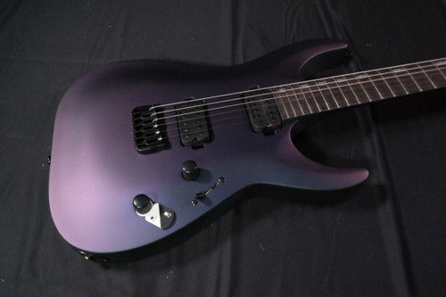 ESP LTD H Series H-1001 Electric Guitar Macassar Ebony/Violet Andromeda Satin - LH1001VLANDS 654