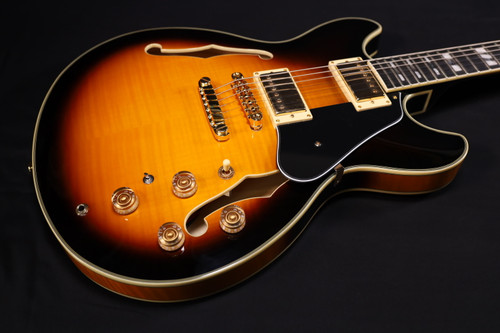 Ibanez JSM10 John Scofield Signature Semi-hollow Electric Guitar