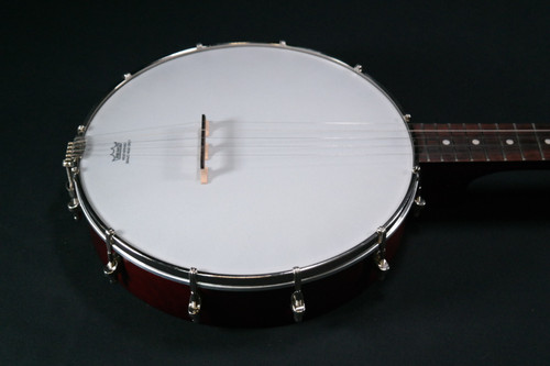 Recording King 5-String Banjo w/ Gig Bag Dirty 30s Open Back Banjo with Tone Ring RKOH-06 - USED