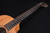 Taylor 24ce Mahogany Top with African Sapele Back and Sides with Fishman Pickup NEW PRODUCT