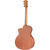 Taylor 24ce Mahogany Top with African Sapele Back and Sides with Fishman Pickup NEW PRODUCT 325