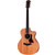 Taylor 24ce Mahogany Top with African Sapele Back and Sides with Fishman Pickup NEW PRODUCT 328