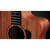 Taylor 24ce Mahogany Top with African Sapele Back and Sides with Fishman Pickup NEW PRODUCT 328