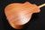 Taylor 24ce Mahogany Top with African Sapele Back and Sides with Fishman Pickup NEW PRODUCT 336