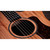 Taylor 24ce Mahogany Top with African Sapele Back and Sides with Fishman Pickup NEW PRODUCT 336