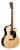Martin GPC-X2E Cocobolo with Gig Bag X Series Re-Imagined 890