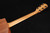 Taylor 24ce Mahogany Top with African Sapele Back and Sides with Fishman Pickup NEW PRODUCT 412
