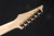 Ibanez RG421PBCHF RG Standard 6str Electric Guitar - Caribbean Shoreline Flat 0666