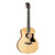 Taylor GS Mini Layered Sapele Acoustic Guitar 176