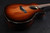 Taylor Builder's Edition 914ce LTD Macassar 088